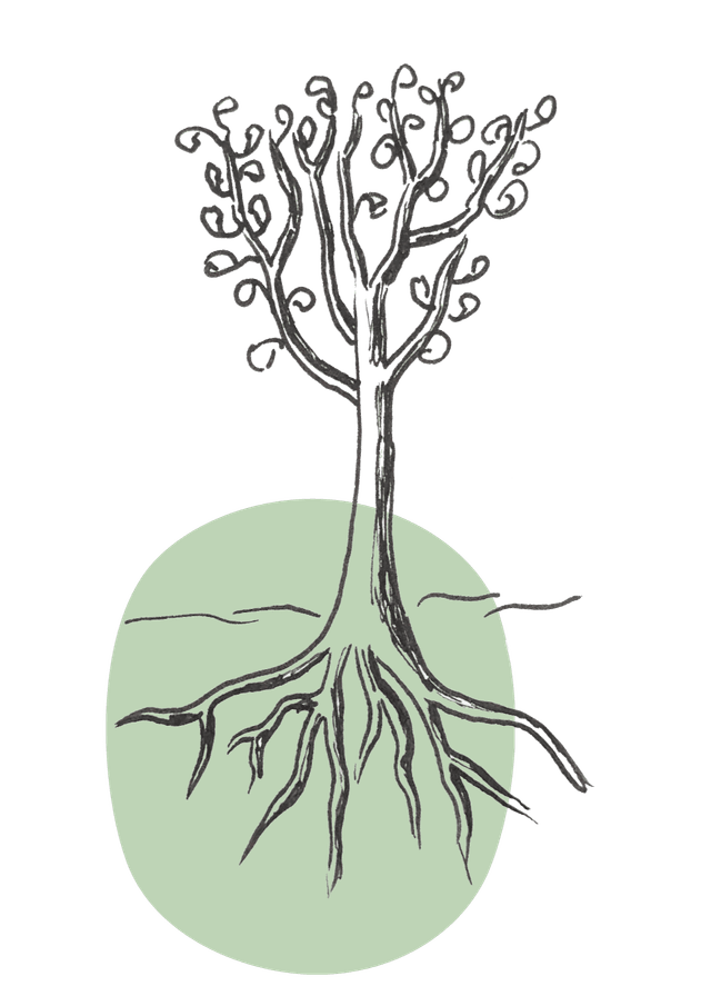 trees illustration