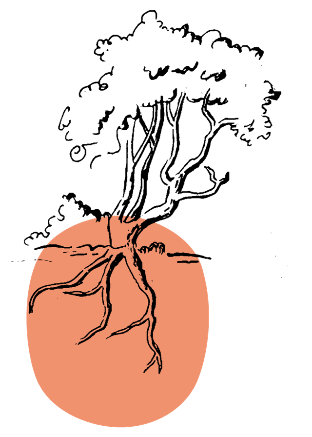 trees illustration